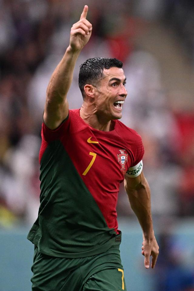 价值与保护 价值与保护