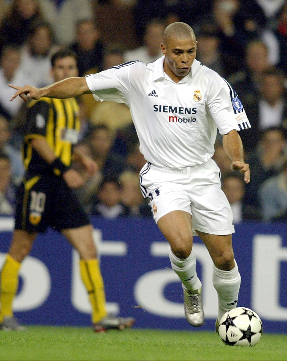 结果次日留 结果次日留